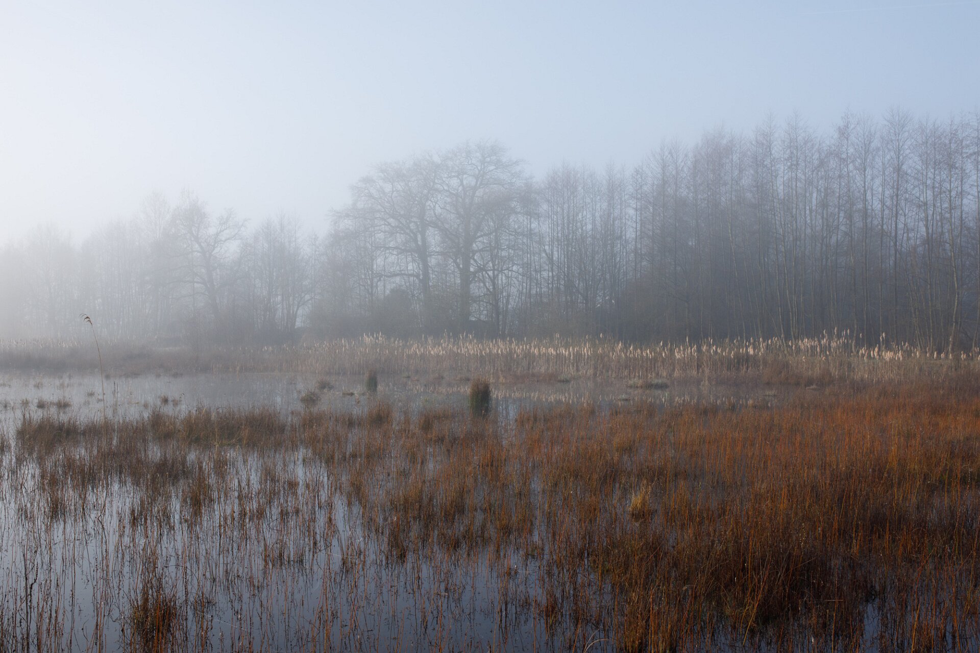 Quiet waterside composition with subtle light and atmosphere