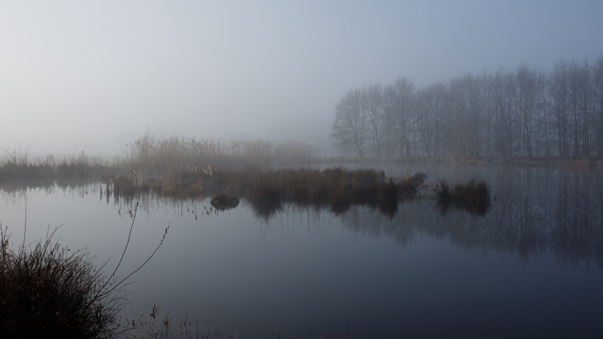 Natural scene with light filtering through a calm setting