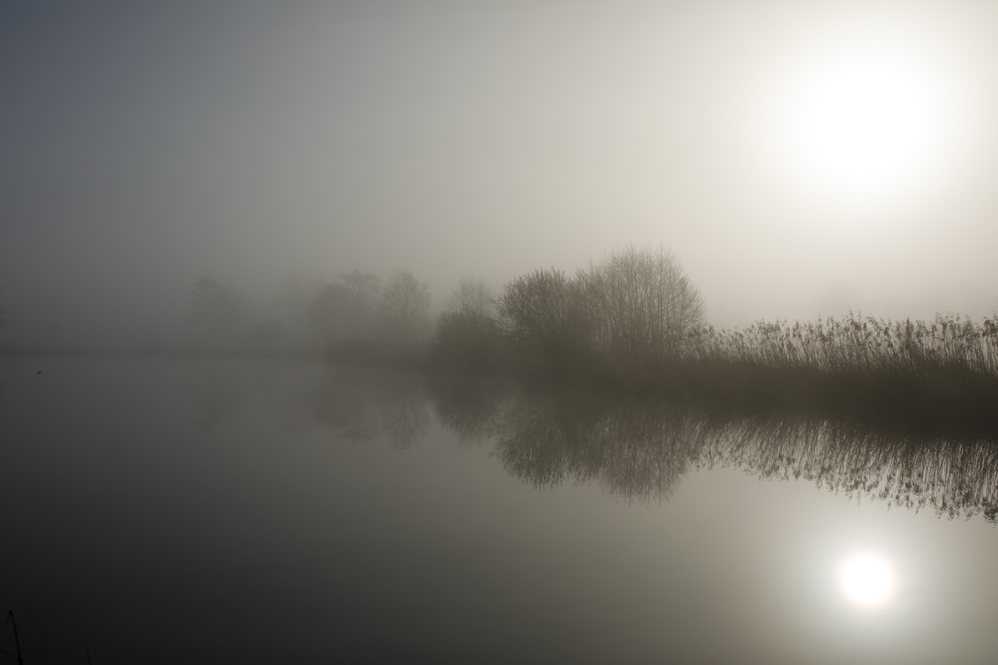 Misty lakeside scene with soft tones and still reflections