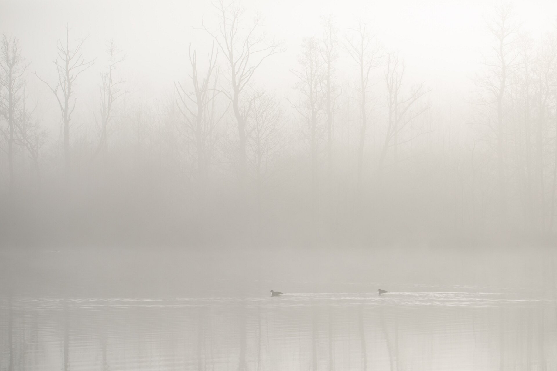 Minimal landscape with open space and a solitary subject