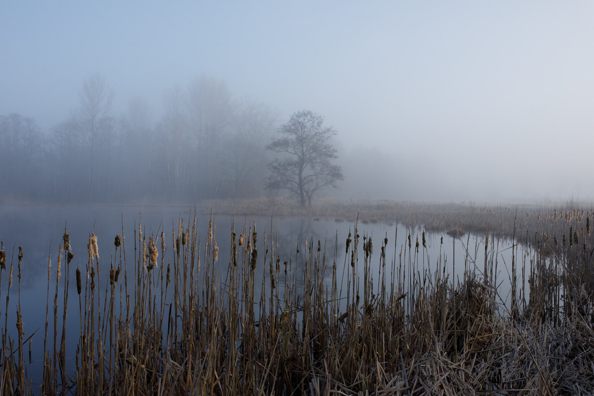 Enlarged featured portfolio photograph