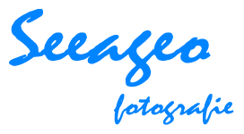Seeageo logo